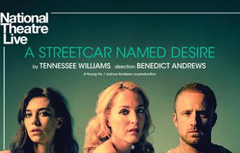 A Streetcar Named Desire National Theatre Live Promo Image
