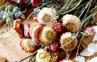 Dried Flowers