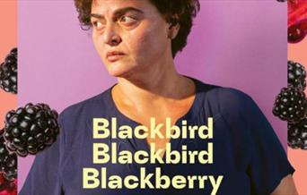 Blackbird Blackbird Blackberry
