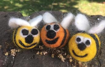 Three needlefelt bees