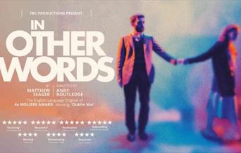 In Other Words Promo Poster