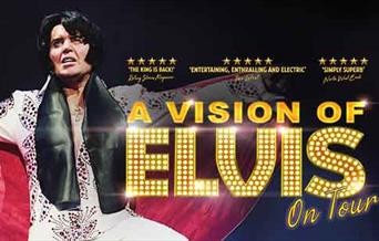 A Vision Of Elvis