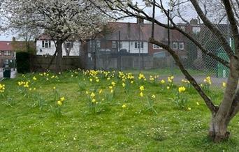 Castlenau Recreation Ground