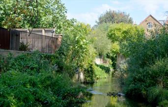 A brook with houses in the background