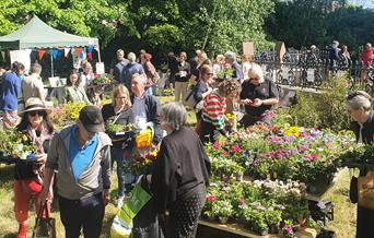 Plant Sale for Wildlife 2023