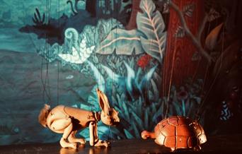 The Hare and the Tortoise