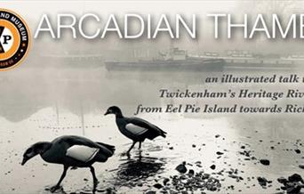 Arcadian Thames