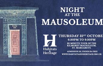 Poster of night at the mausoleum