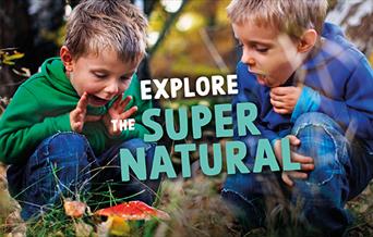 October Half-Term Activities