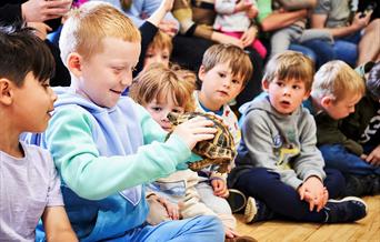 Meeting Shelly, a Herman's tortoise