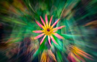 Jackie-Rado - Photography in Nature