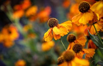 Photography in Nature - Jackie Rado