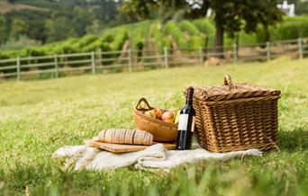 Picnic