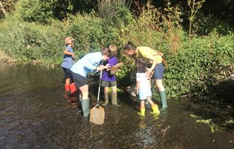 Looking for life in the river