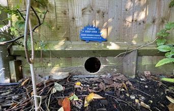 A hedgehog hole in a garden fence