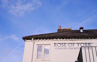 The Rose of York