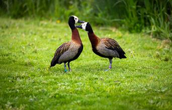 Photography in Nature - Jackie Rado