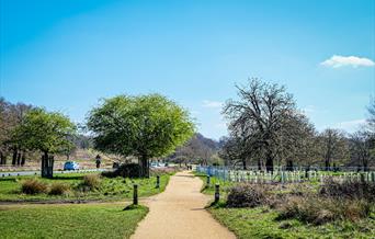 Richmond Park