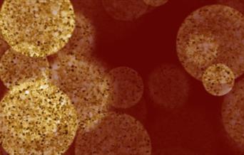 All the Glitters