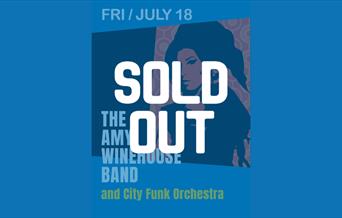 Hampton Pool Concert with The Amy Winehouse Band and City Funk Orchestra on Friday 18 July