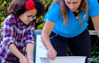 Pond dipping