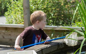 Autism and Sensory Needs Friendly Pond Dipping
