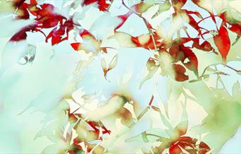 Autumn Art Fair