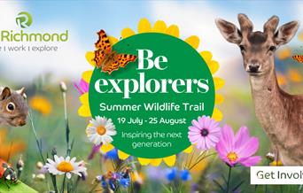 Wildlife Trail in Richmond Poster with Deer, Ladybirds, Butterflies