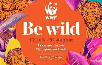 Be Wild Art Trail