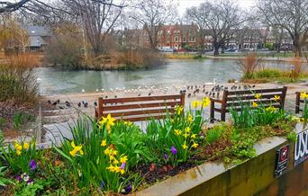 Barnes Green Pond