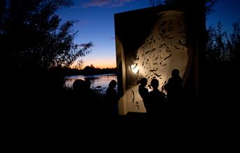 Bat Walks - Teri Pengilley