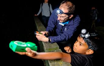Junior Bat Walk - image credit Ben Cherry WWT