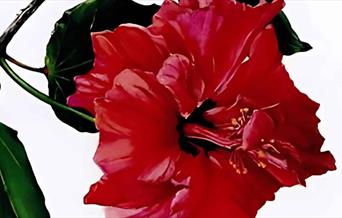 Botanical Art Painting and Drawing