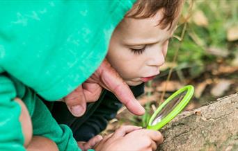 Bug Catching