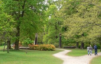 Bushy Park Walk