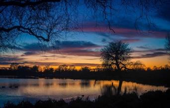 Landscape photo of Bushy Park