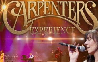 Carpenters Experience