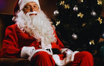 Christmas Festival Discovery Den Santa