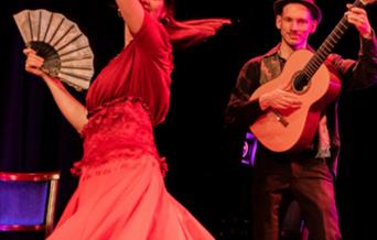 Female flamenco dancer