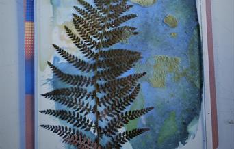 Cyanotype