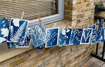 Cyanotype Printmaking Workshop image credit WWT