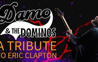 Damo and the Dominoes - A Tribute to Eric Clapton