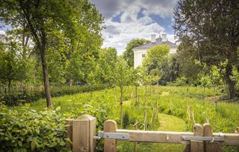 Marble Hill Landscape