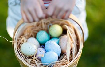 Easter Egg