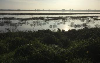 A river with the sun setting in the distance
