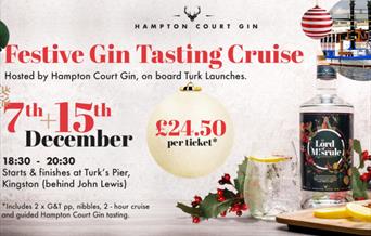 Festive Gin Tasting
