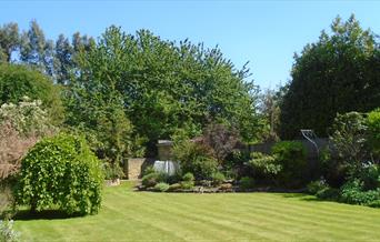 One of many beautiful Barnes Open Gardens in 2022
