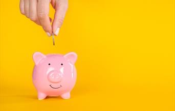 Coin being put in to a pink pig money box