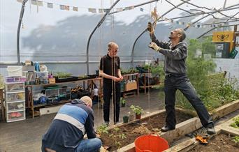 People inside a polytunnel