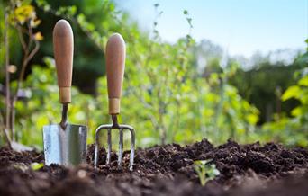 gardening generic image